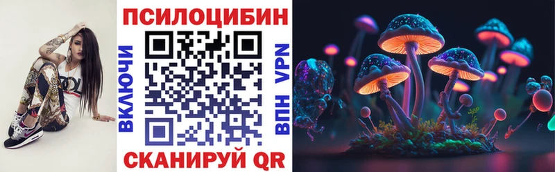 Купить закладки  Сясьстрой  Псилоцибиновые грибы мухоморы 